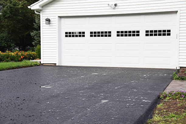 Best Carpet Removal and Disposal  in Alamo, GA